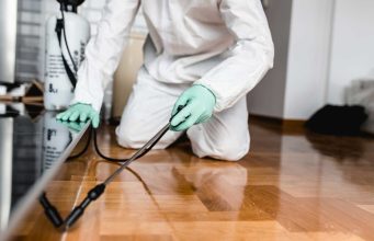 Servizio disinfestazione Servizio disinfestazione